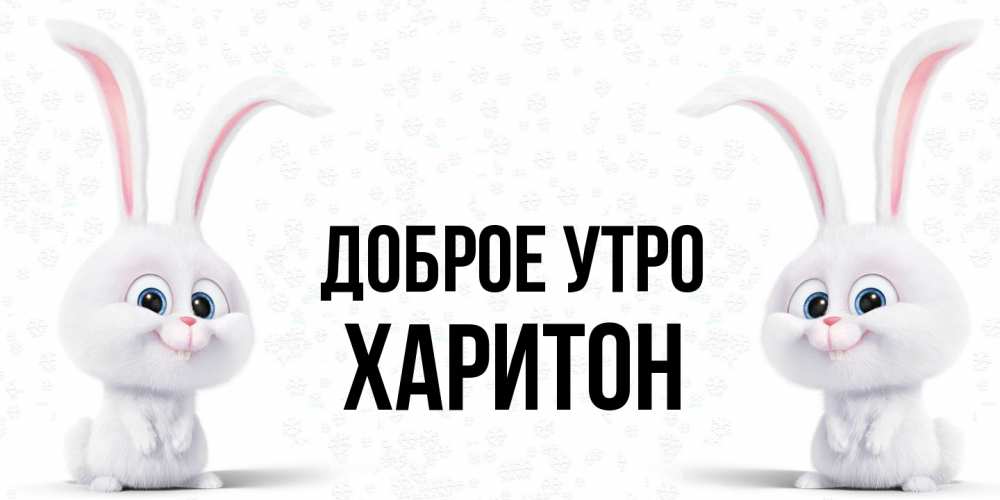 Открытка на каждый день с именем, Харитон Доброе утро кролики с длинными ушками Прикольная открытка с пожеланием онлайн скачать бесплатно 