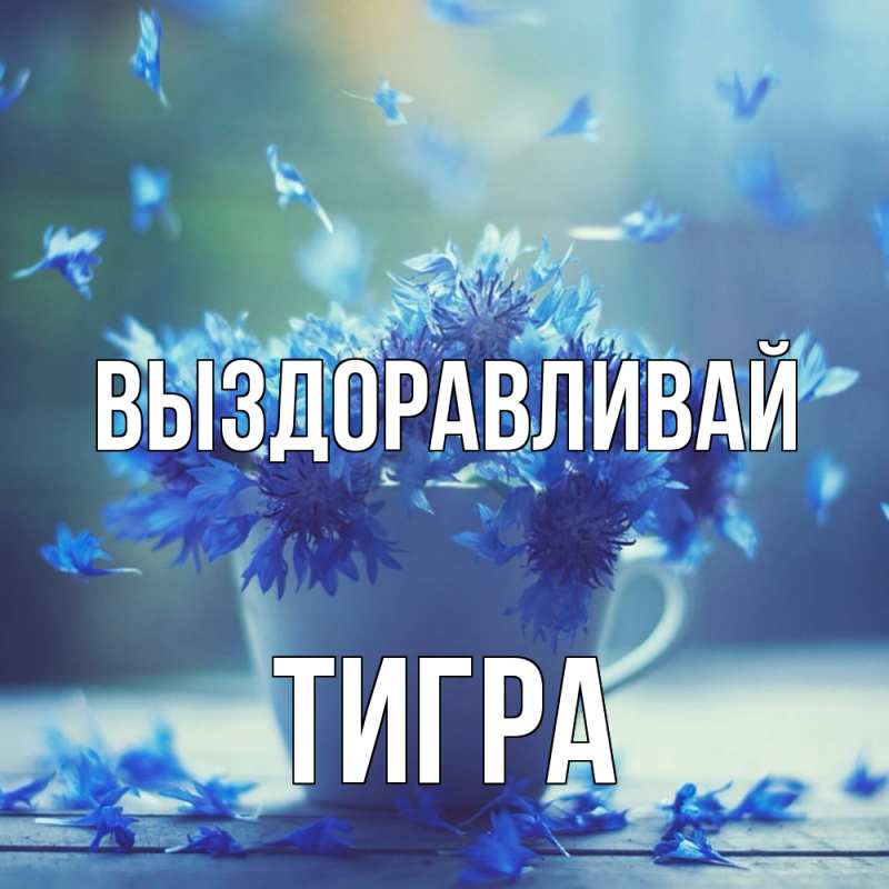 Открытка с именем, Тигpа, Выздоравливай