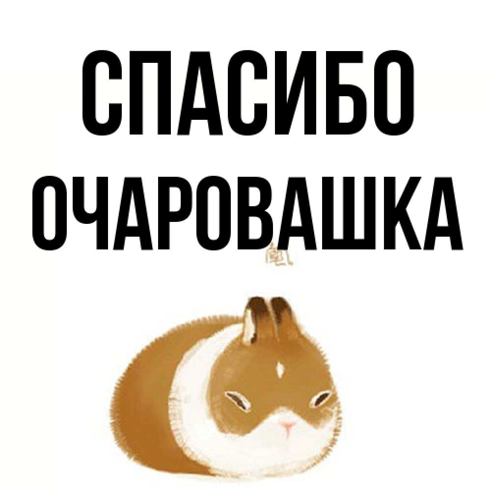 Открытка на каждый день с именем, Очаровашка Спасибо коричнево белый домашний питомец Прикольная открытка с пожеланием онлайн скачать бесплатно 