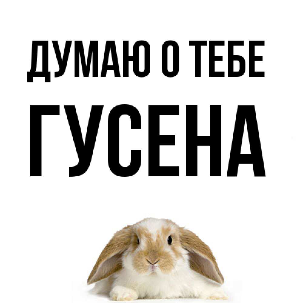 Открытка на каждый день с именем, гусена Думаю о тебе подписать своими руками онлайн Прикольная открытка с пожеланием онлайн скачать бесплатно 