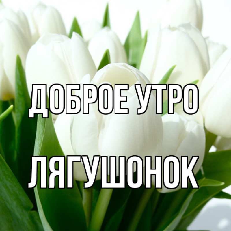 Картинка Доброе утро, лягушонок