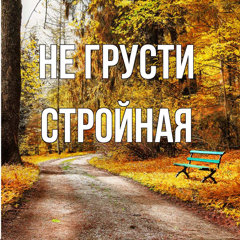 Открытка на каждый день с именем, Стpойная Не грусти зеленая лавочка Прикольная открытка с пожеланием онлайн скачать бесплатно 