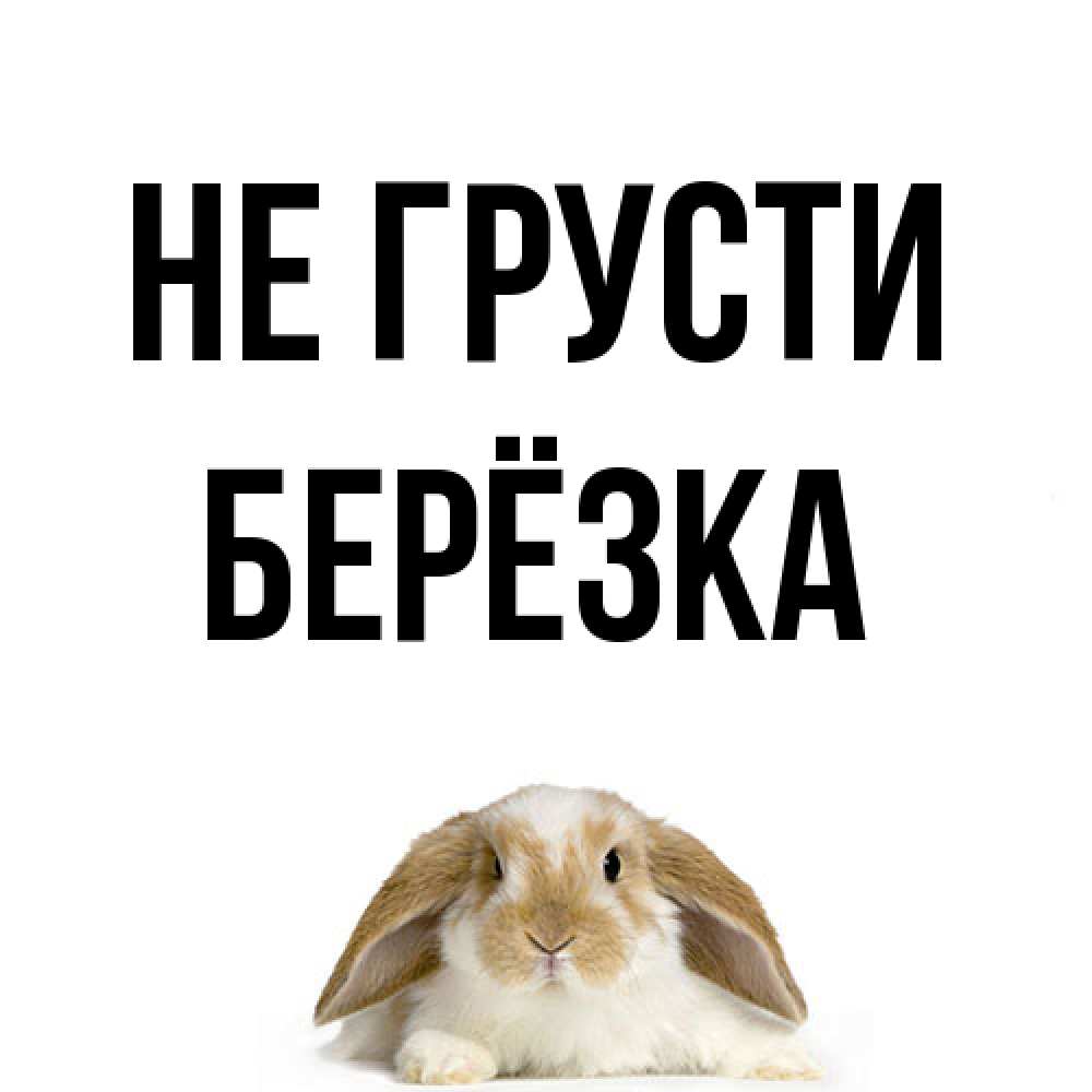 Открытка на каждый день с именем, Берёзка Не грусти коричнево белый заяц с большими ушками Прикольная открытка с пожеланием онлайн скачать бесплатно 