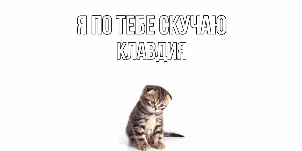 Открытка на каждый день с именем, Клавдия Я по тебе скучаю кот Прикольная открытка с пожеланием онлайн скачать бесплатно 