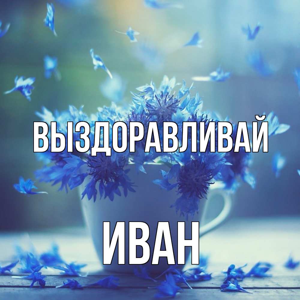 Открытка на каждый день с именем, Иван Выздоравливай кружка с зельем и цветами Прикольная открытка с пожеланием онлайн скачать бесплатно 