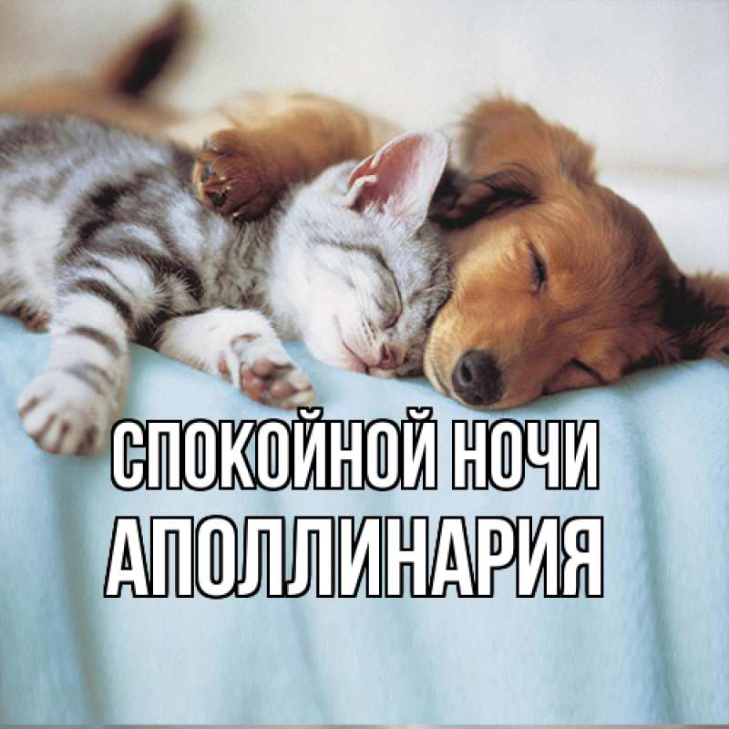 Картинка Спокойной ночи, Аполлинария