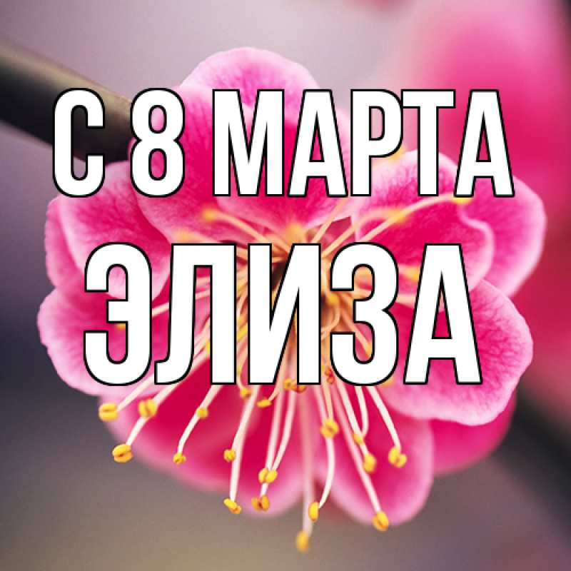 Картинка C 8 МАРТА, Элиза