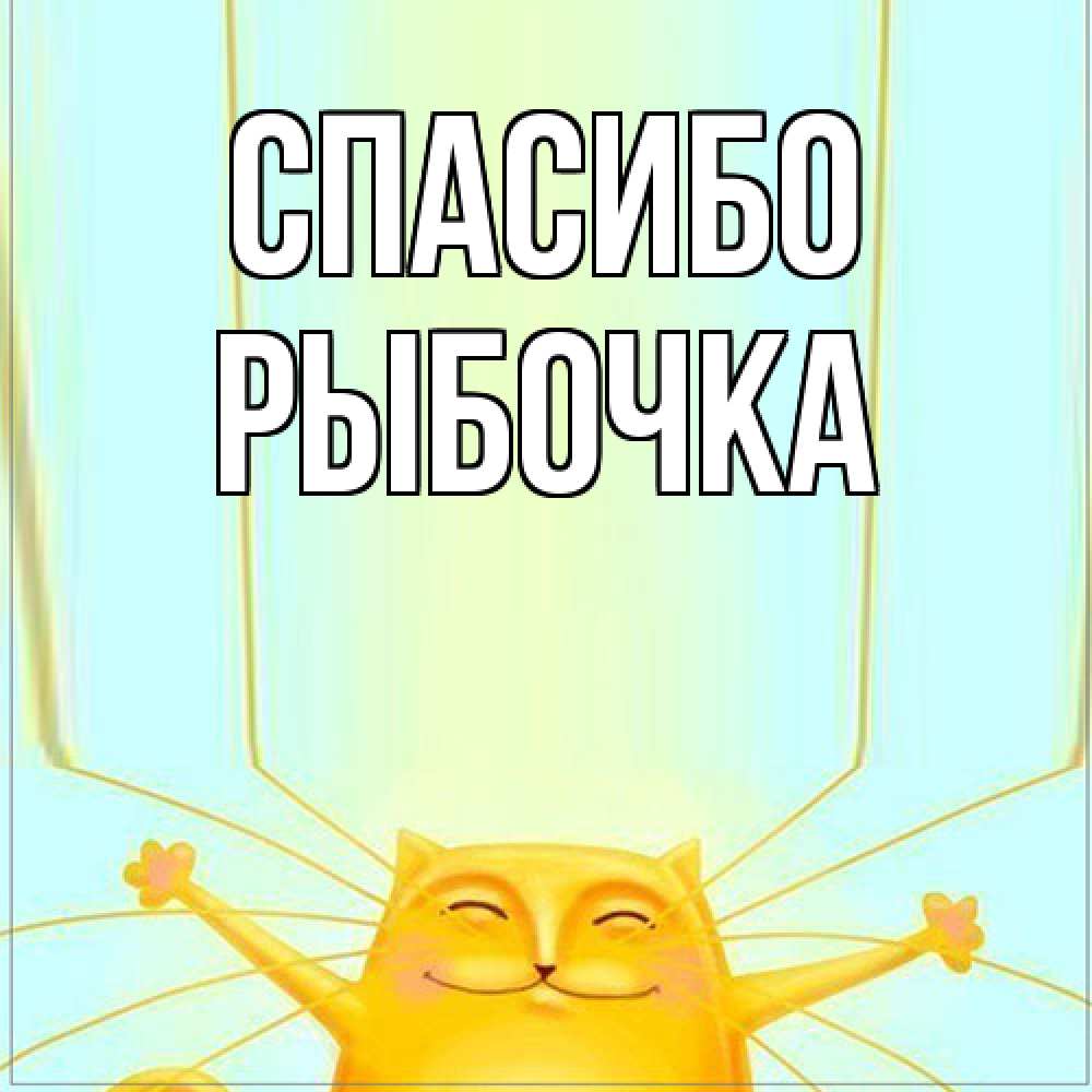 Открытка на каждый день с именем, рыбочка Спасибо кот с усами благодарит Прикольная открытка с пожеланием онлайн скачать бесплатно 