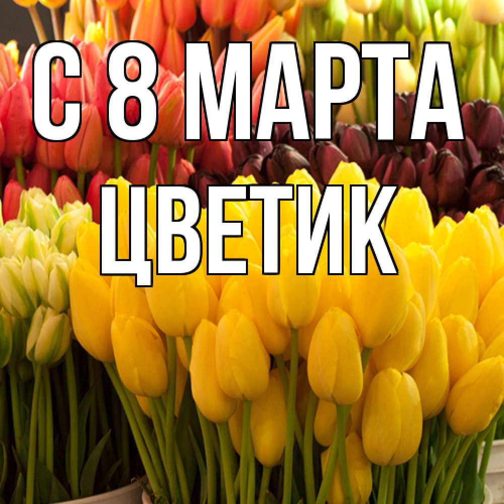 Открытка на каждый день с именем, цветик C 8 МАРТА цветы Прикольная открытка с пожеланием онлайн скачать бесплатно 