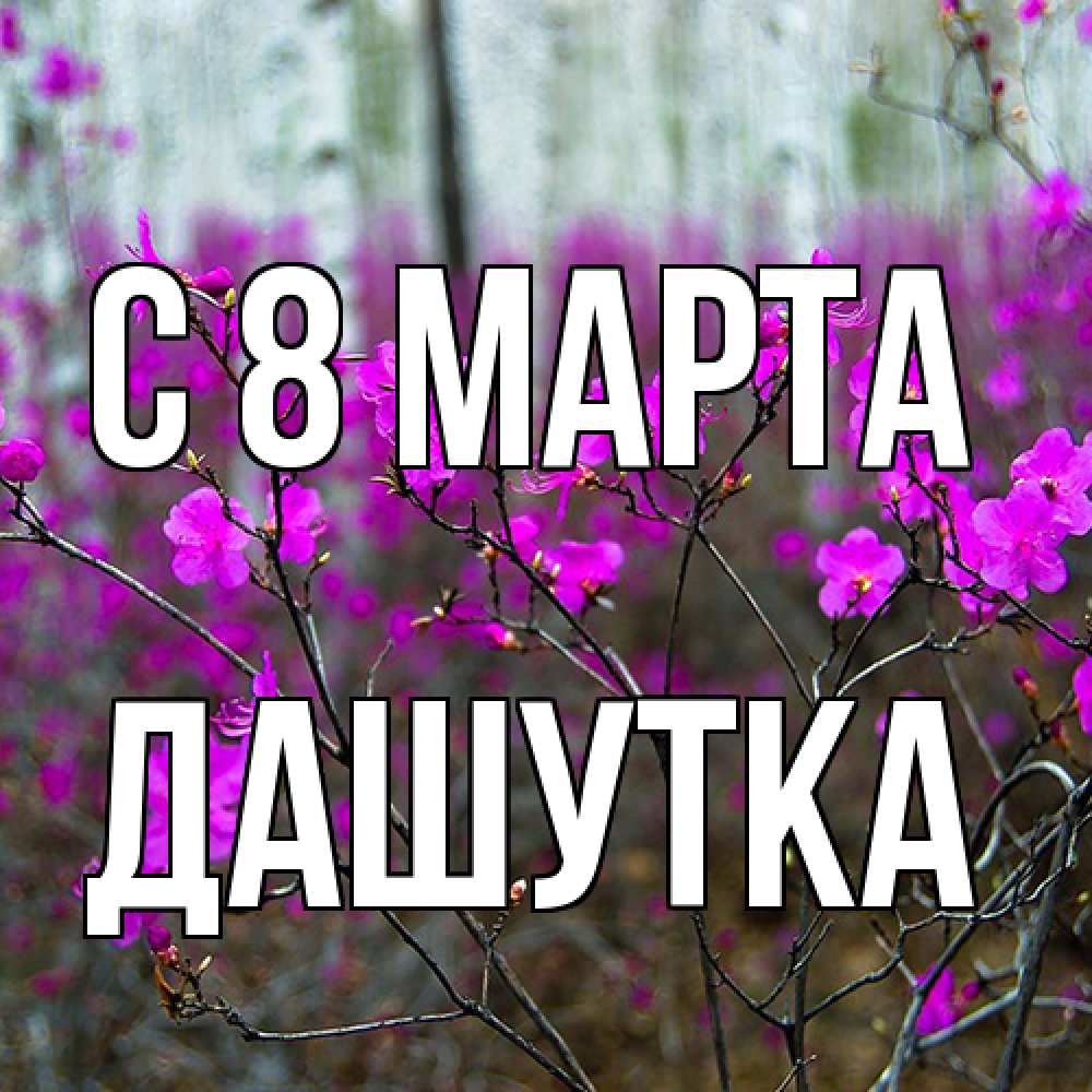 Открытка на каждый день с именем, Дашутка C 8 МАРТА дикие цветы Прикольная открытка с пожеланием онлайн скачать бесплатно 