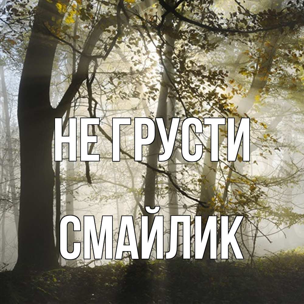 Открытка на каждый день с именем, Смайлик Не грусти лес и свет Прикольная открытка с пожеланием онлайн скачать бесплатно 