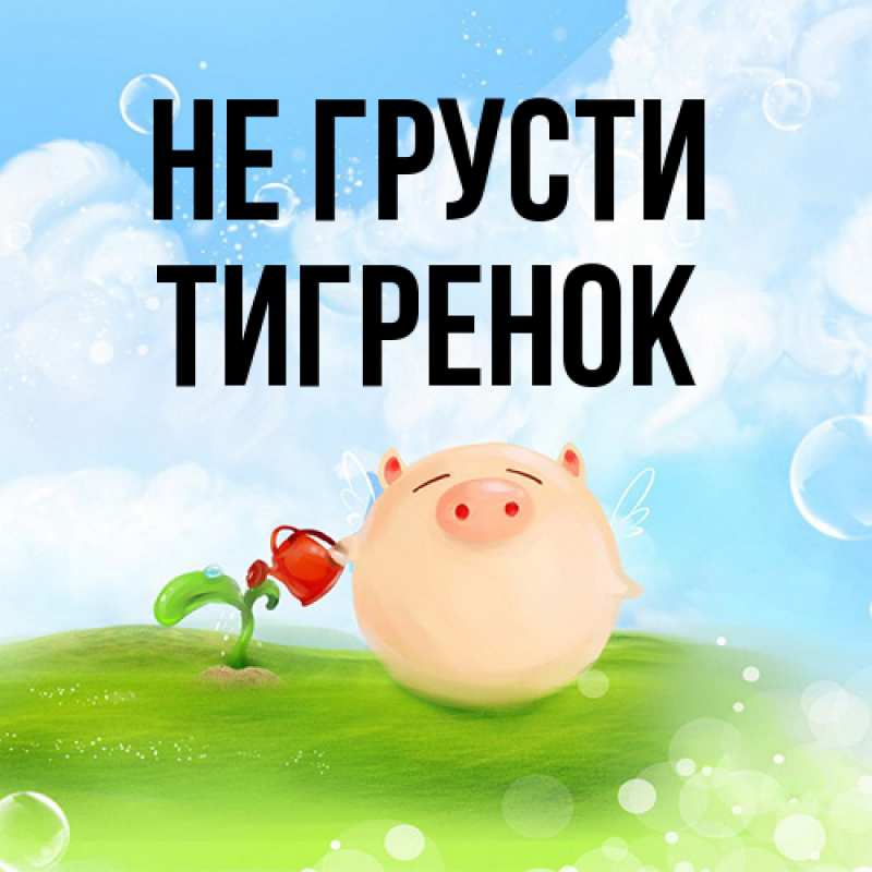 Картинка Не грусти, Тигpенок