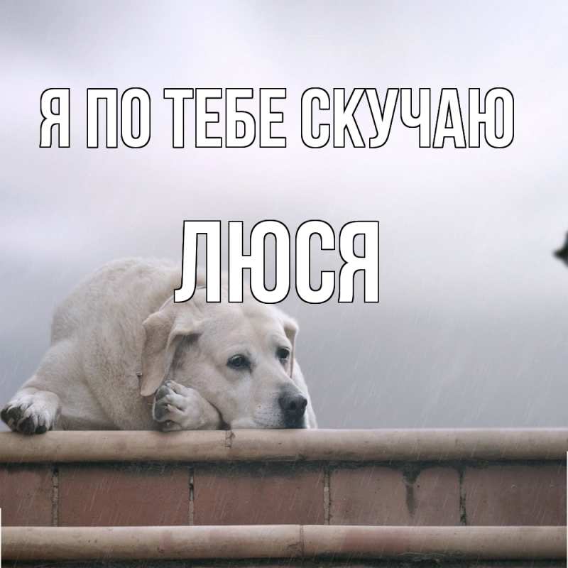Картинка Я по тебе скучаю, Люся