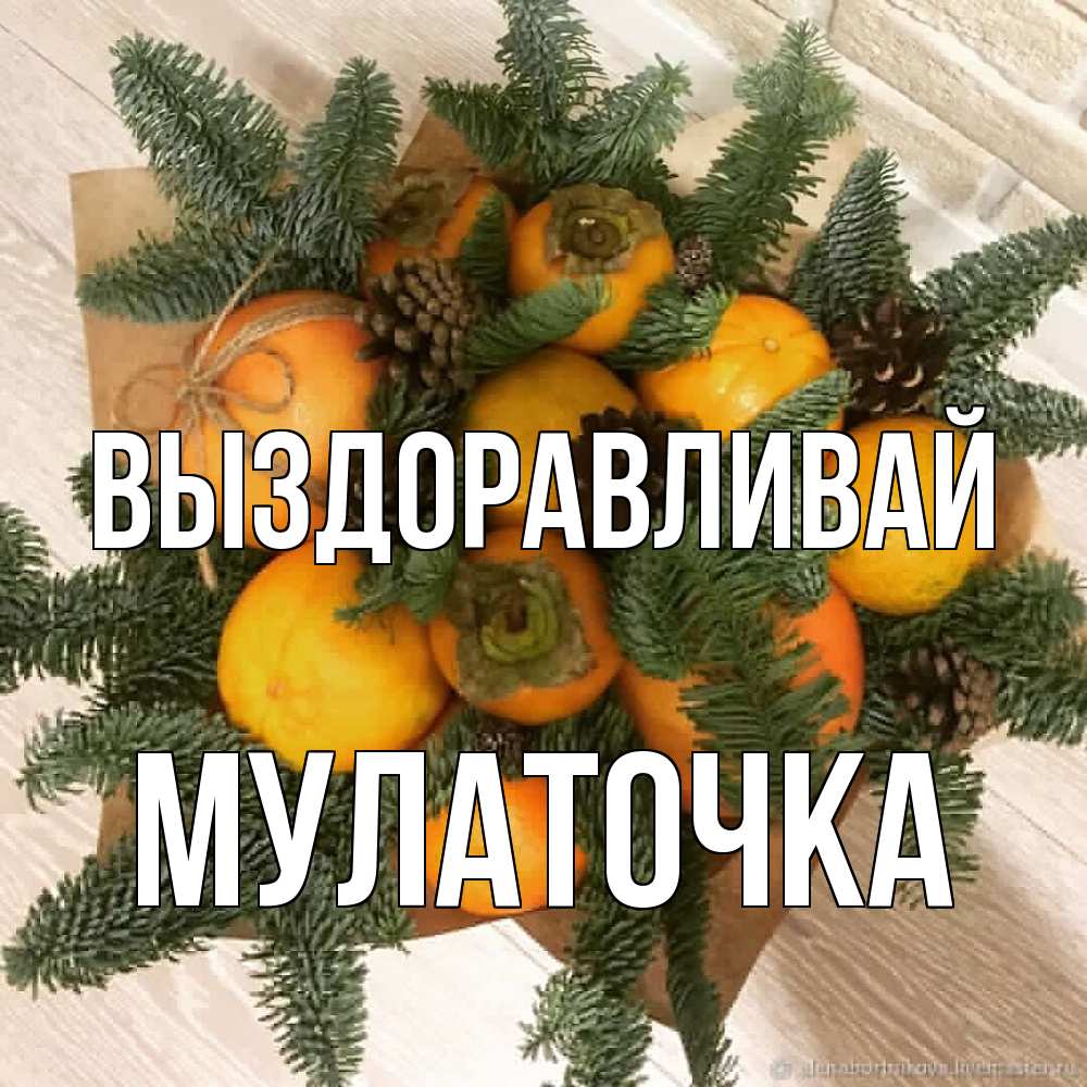 Открытка на каждый день с именем, Мулаточка Выздоравливай апельсины и хурьма Прикольная открытка с пожеланием онлайн скачать бесплатно 