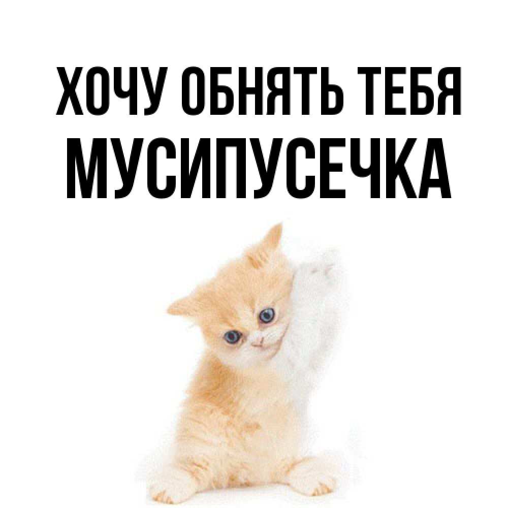 Открытка на каждый день с именем, Мусипусечка Хочу обнять тебя я хочу очень скорее обнимаешек Прикольная открытка с пожеланием онлайн скачать бесплатно 