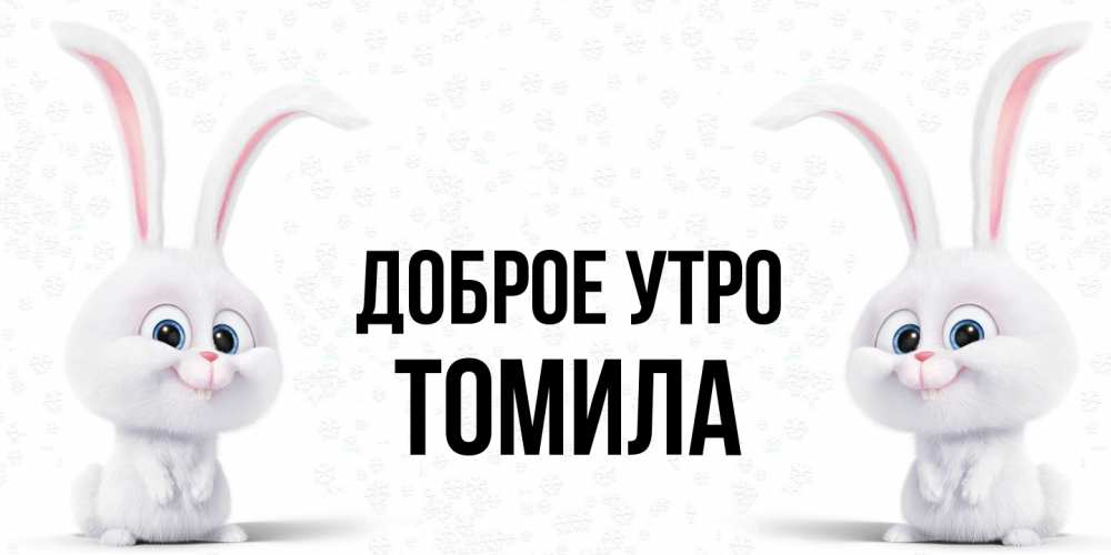 Открытка на каждый день с именем, Томила Доброе утро кролики с длинными ушками Прикольная открытка с пожеланием онлайн скачать бесплатно 