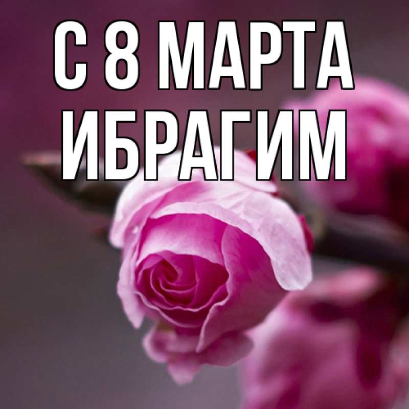 Картинка C 8 МАРТА, Ибрагим