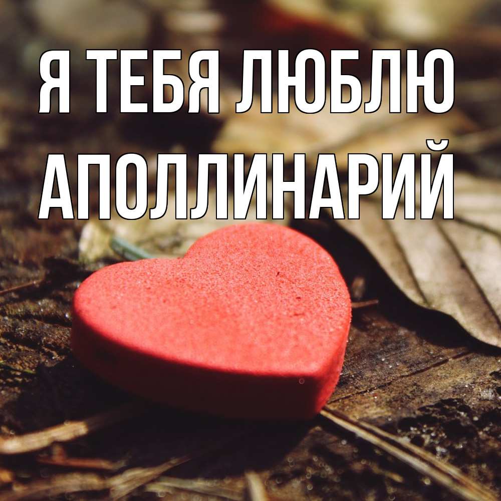 Открытка на каждый день с именем, Аполлинарий Я тебя люблю листья деревье 4 Прикольная открытка с пожеланием онлайн скачать бесплатно 