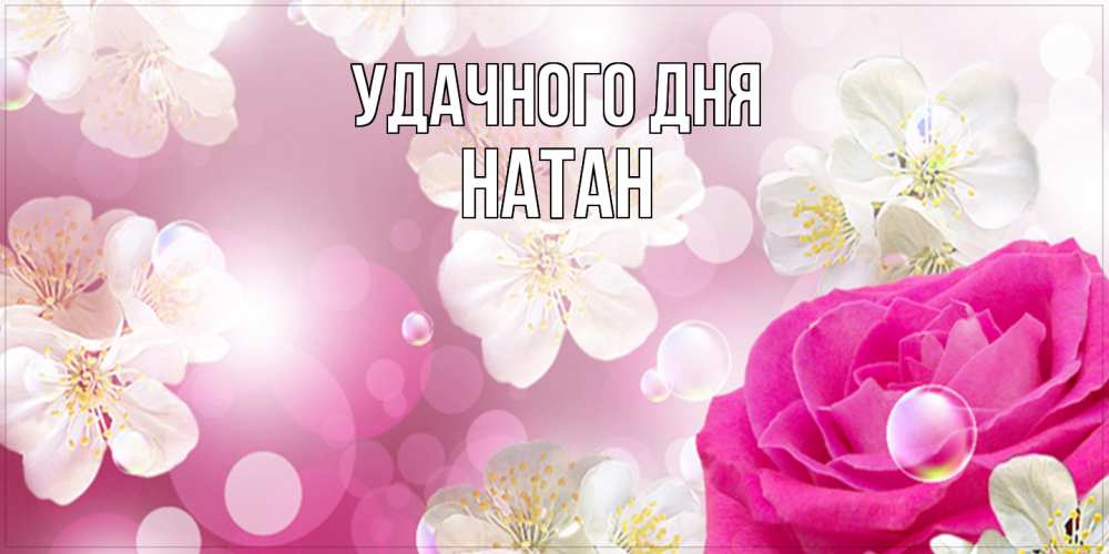 Открытка на каждый день с именем, Натан Удачного дня красивые цветы Прикольная открытка с пожеланием онлайн скачать бесплатно 