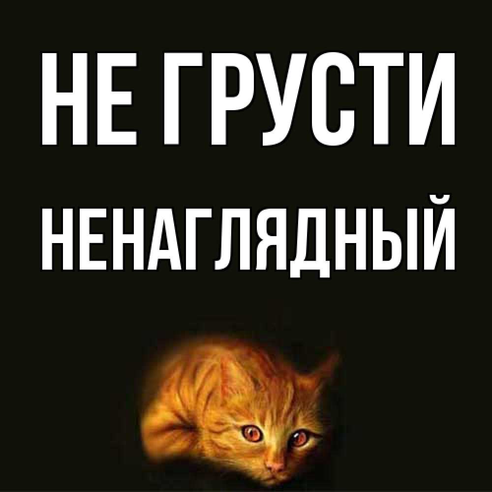 Открытка на каждый день с именем, Ненаглядный Не грусти лежащий кот в темноте Прикольная открытка с пожеланием онлайн скачать бесплатно 