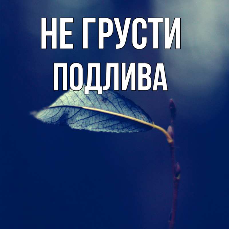 Картинка Не грусти, Подлива