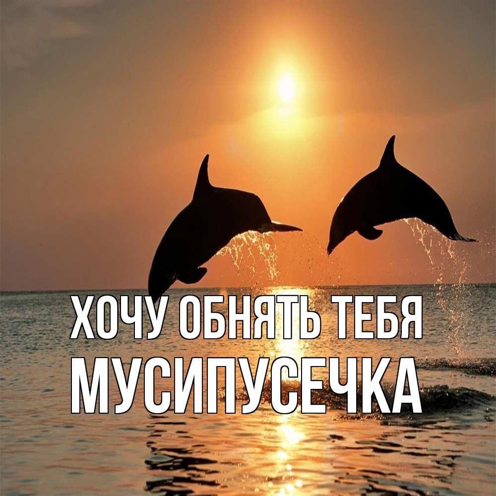 Открытка на каждый день с именем, Мусипусечка Хочу обнять тебя рыбы на закате Прикольная открытка с пожеланием онлайн скачать бесплатно 