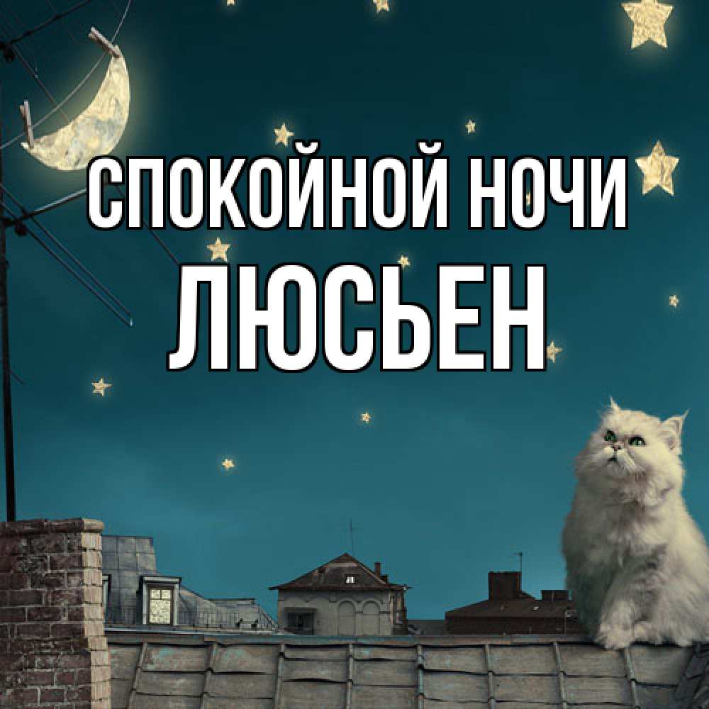 Открытка на каждый день с именем, Люсьен Спокойной ночи белый кот сидит на крыше Прикольная открытка с пожеланием онлайн скачать бесплатно 