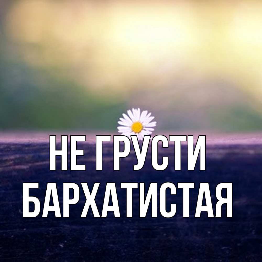 Открытка на каждый день с именем, Бархатистая Не грусти красота Прикольная открытка с пожеланием онлайн скачать бесплатно 