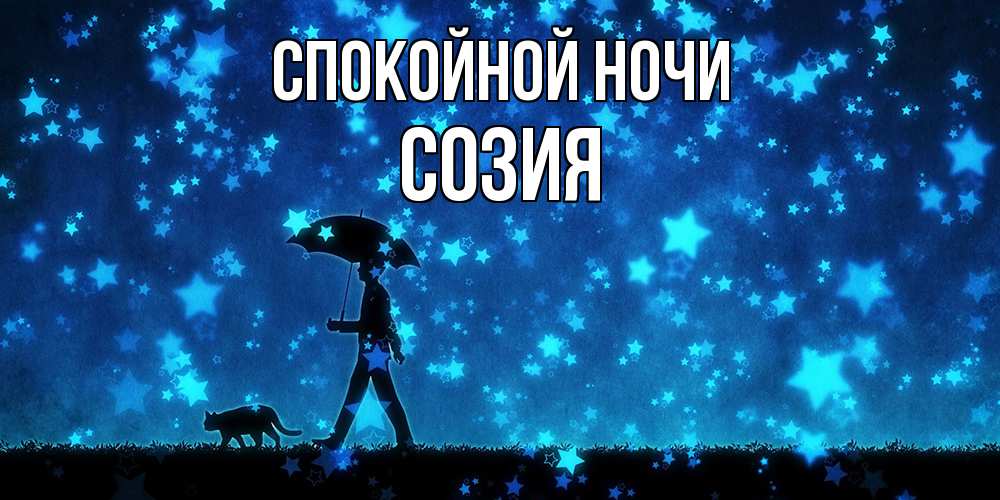Открытка на каждый день с именем, Созия Спокойной ночи ночные прогулки с котом под звездами Прикольная открытка с пожеланием онлайн скачать бесплатно 