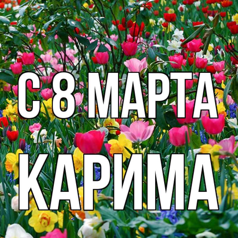 Картинка C 8 МАРТА, Карима