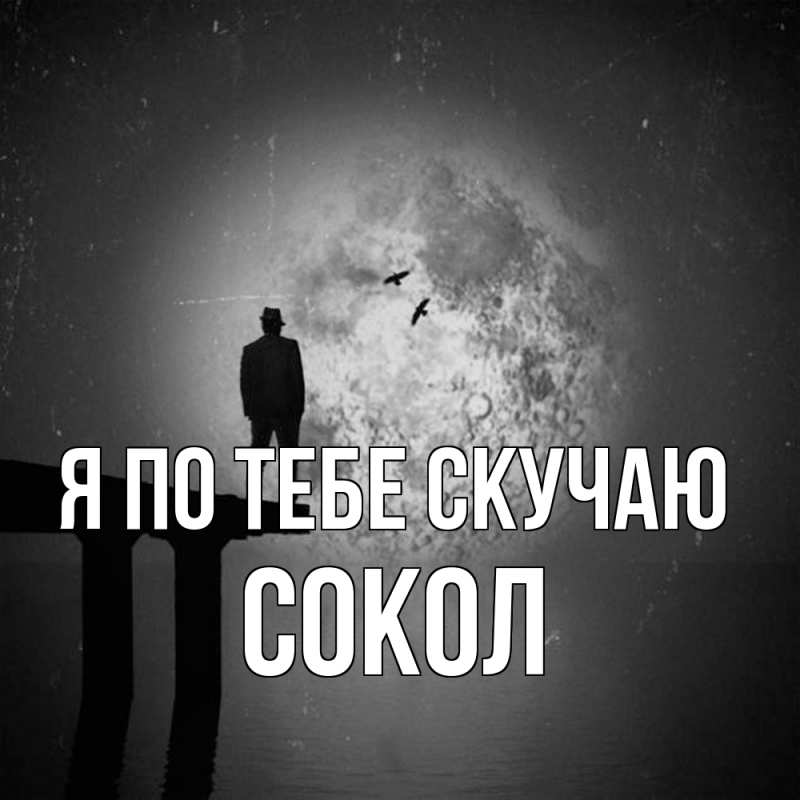 Картинка Я по тебе скучаю, Сокол