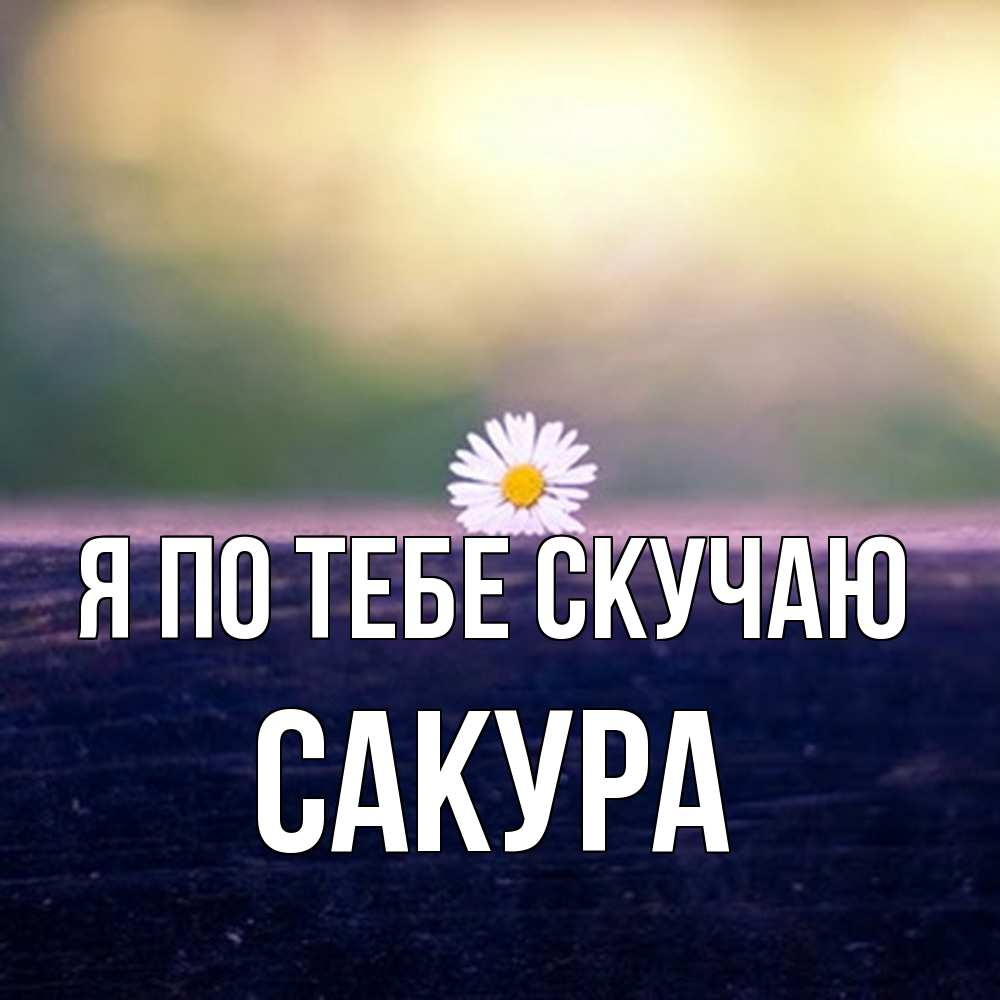 Открытка на каждый день с именем, Сакура Я по тебе скучаю приходи в гости Прикольная открытка с пожеланием онлайн скачать бесплатно 
