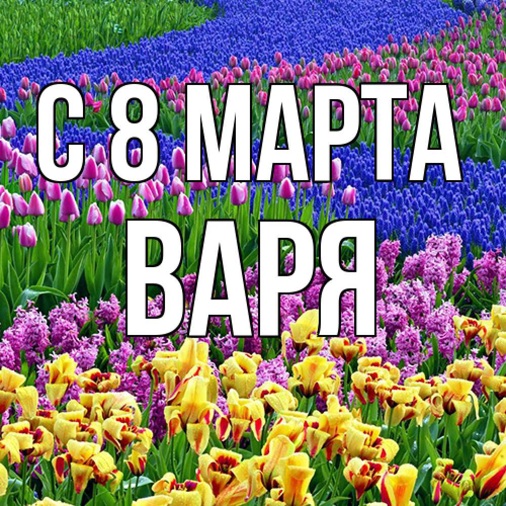 Открытка на каждый день с именем, Варя C 8 МАРТА цветы Прикольная открытка с пожеланием онлайн скачать бесплатно 