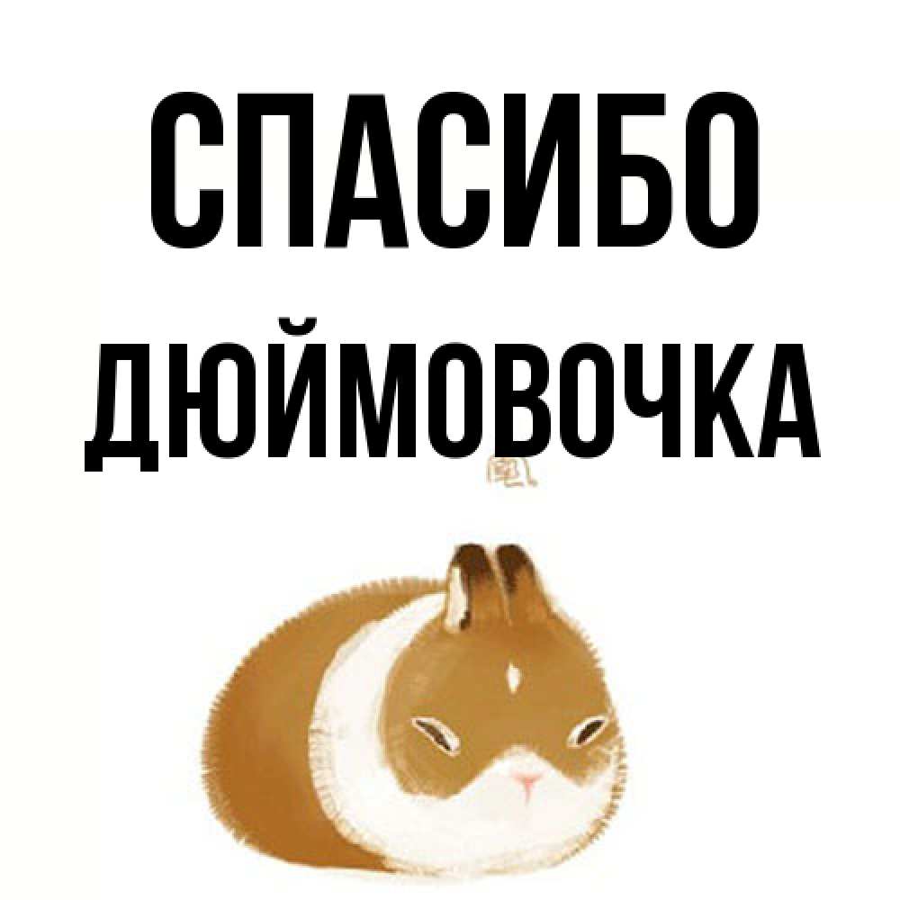 Открытка на каждый день с именем, Дюймовочка Спасибо коричнево белый домашний питомец Прикольная открытка с пожеланием онлайн скачать бесплатно 