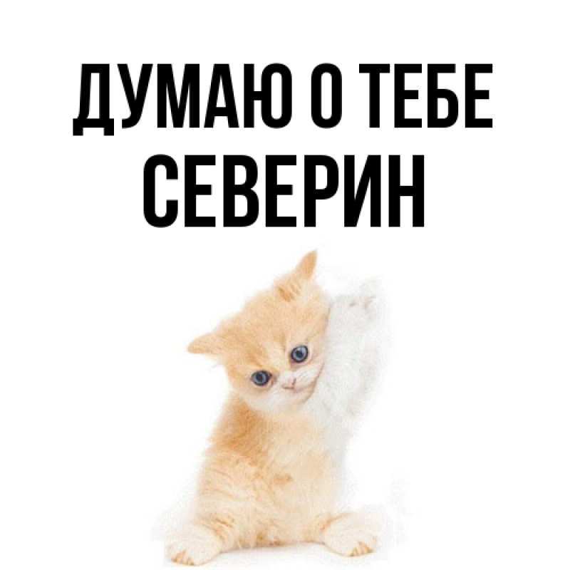 Открытка с именем, Северин, Думаю о тебе