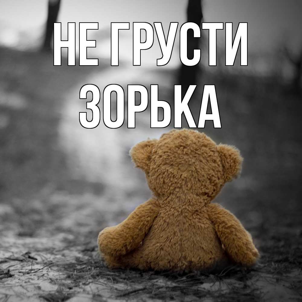 Открытка на каждый день с именем, Зоpька Не грусти медведь со спин Прикольная открытка с пожеланием онлайн скачать бесплатно 