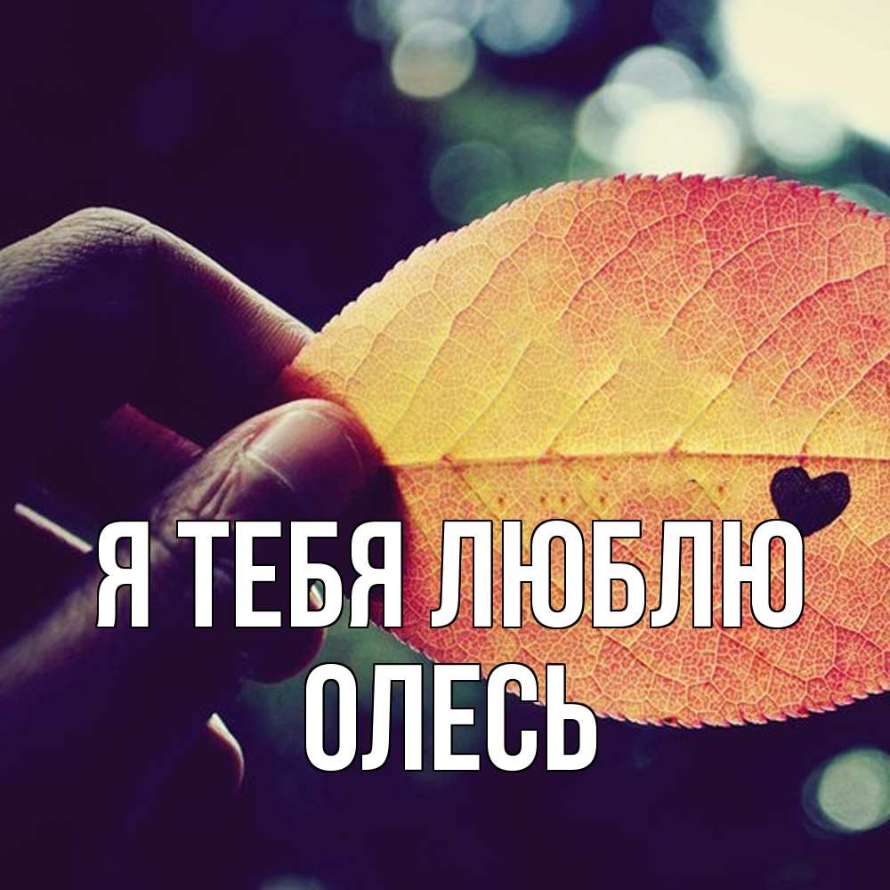 Открытка на каждый день с именем, Олесь Я тебя люблю держу лист Прикольная открытка с пожеланием онлайн скачать бесплатно 