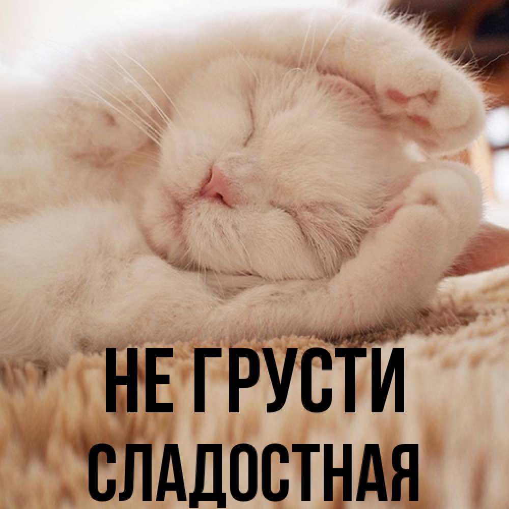 Открытка на каждый день с именем, Сладостная Не грусти Котенок спит Прикольная открытка с пожеланием онлайн скачать бесплатно 