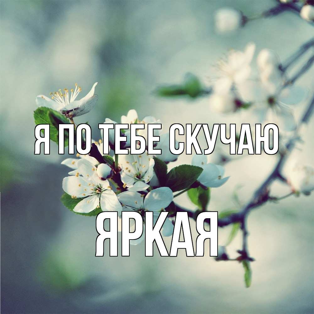 Открытка на каждый день с именем, яркая Я по тебе скучаю весна Прикольная открытка с пожеланием онлайн скачать бесплатно 