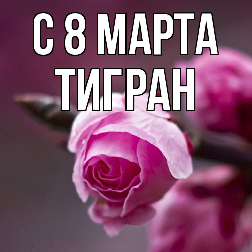 Открытка на каждый день с именем, Тигран C 8 МАРТА весна Прикольная открытка с пожеланием онлайн скачать бесплатно 
