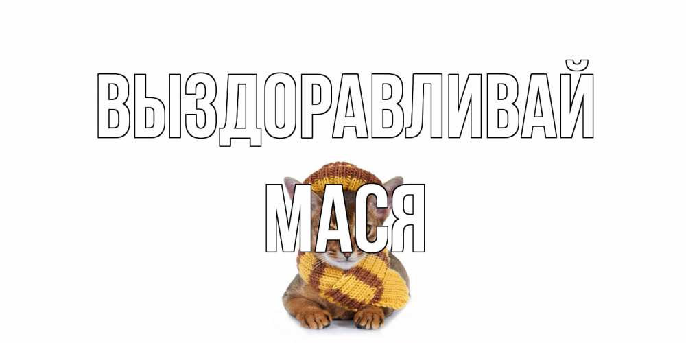 Открытка на каждый день с именем, Мася Выздоравливай родные не болейте Прикольная открытка с пожеланием онлайн скачать бесплатно 