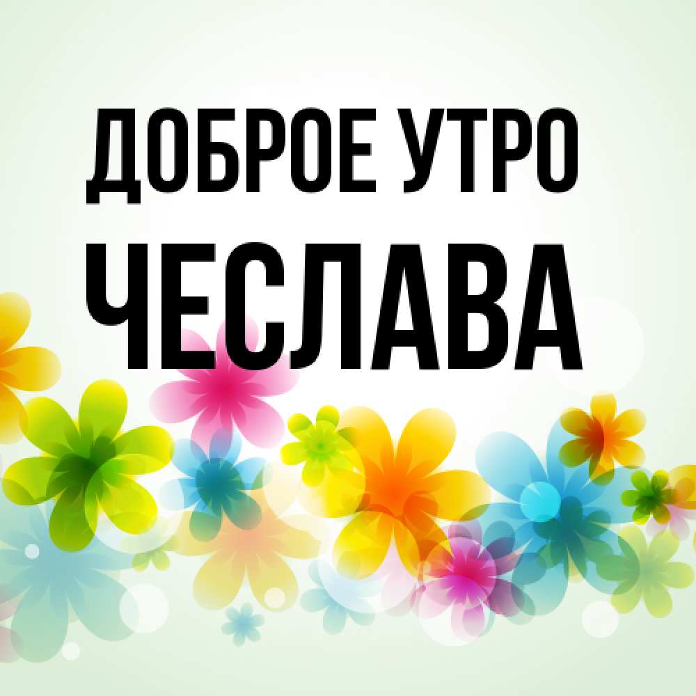 Открытка на каждый день с именем, Чеслава Доброе утро позитивные цветочки Прикольная открытка с пожеланием онлайн скачать бесплатно 