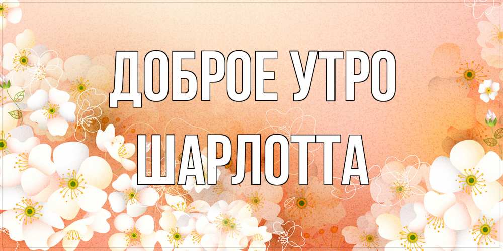 Открытка на каждый день с именем, Шарлотта Доброе утро доброе утро с цветами Прикольная открытка с пожеланием онлайн скачать бесплатно 