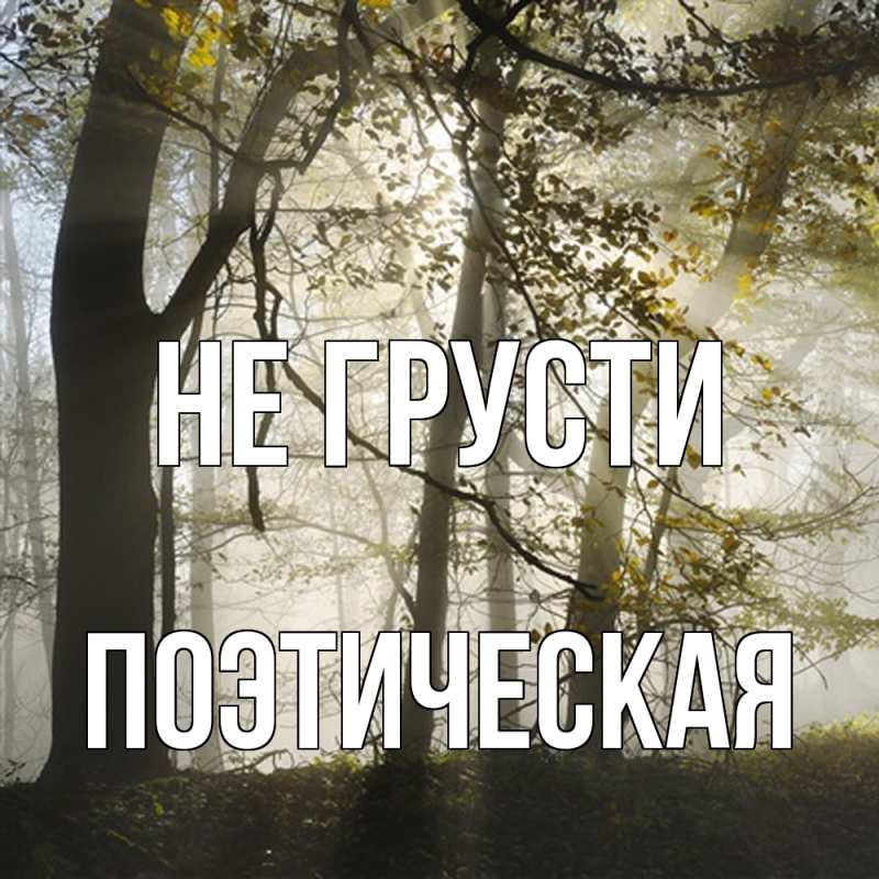 Картинка Не грусти, Поэтическая
