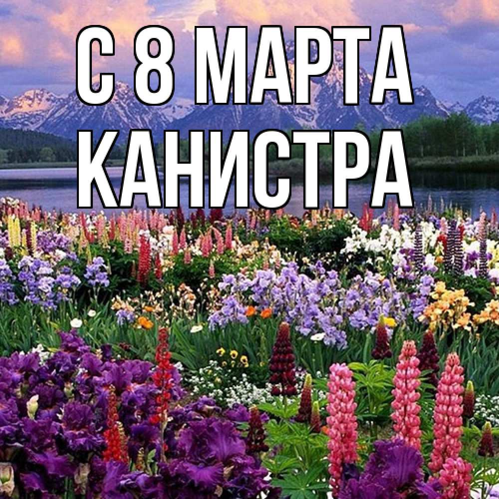 Открытка на каждый день с именем, Канистра C 8 МАРТА международный женский день Прикольная открытка с пожеланием онлайн скачать бесплатно 