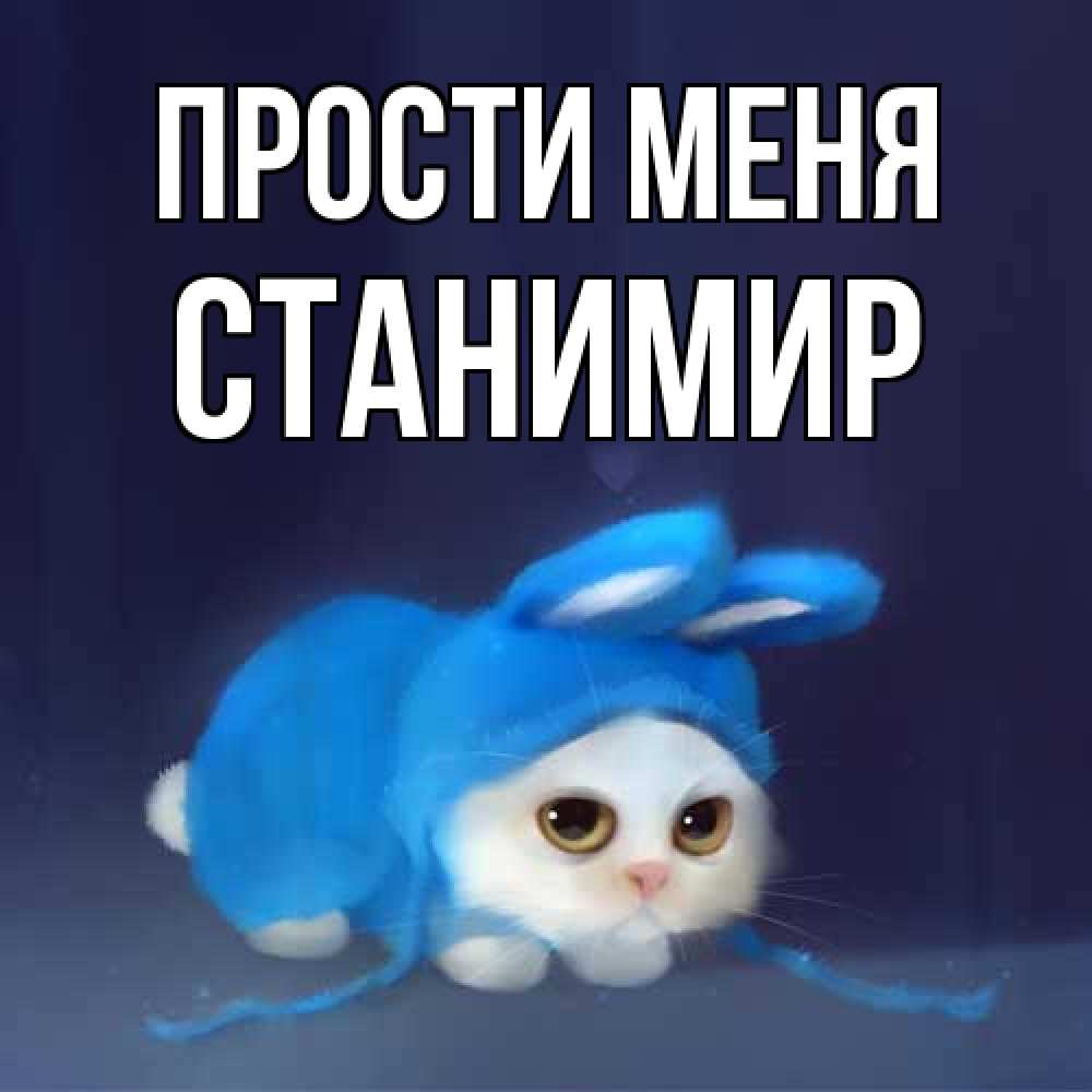 Открытка на каждый день с именем, Станимир Прости меня невинный котозай просит прощения Прикольная открытка с пожеланием онлайн скачать бесплатно 