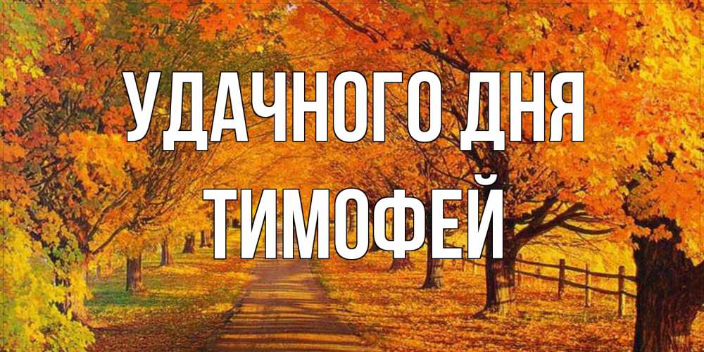 Открытка на каждый день с именем, Тимофей Удачного дня деревья с осенними листьями Прикольная открытка с пожеланием онлайн скачать бесплатно 