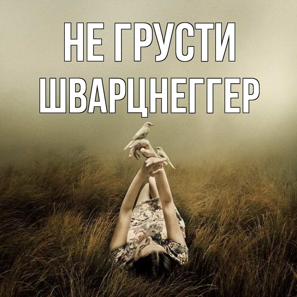 Открытка на каждый день с именем, Шварцнеггер Не грусти поле и туман Прикольная открытка с пожеланием онлайн скачать бесплатно 