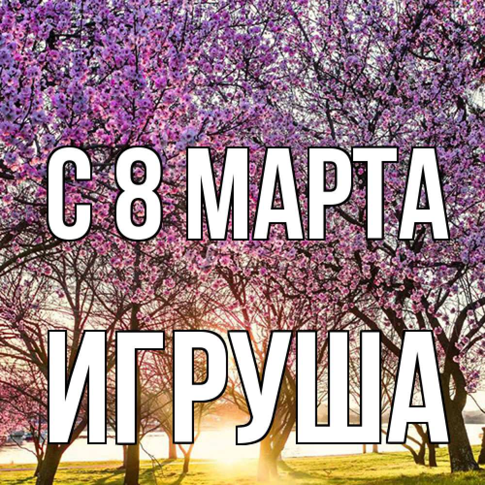 Открытка на каждый день с именем, Игруша C 8 МАРТА международный женский день Прикольная открытка с пожеланием онлайн скачать бесплатно 