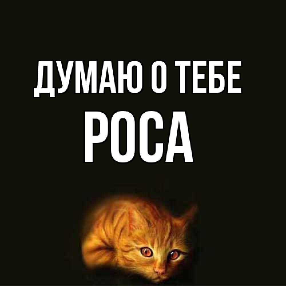 Открытка на каждый день с именем, Роса Думаю о тебе рыжий Прикольная открытка с пожеланием онлайн скачать бесплатно 